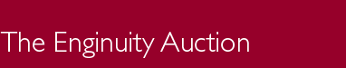 Enginuity Auction